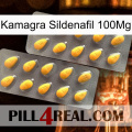 Kamagra Sildenafil 100Mg cialis2